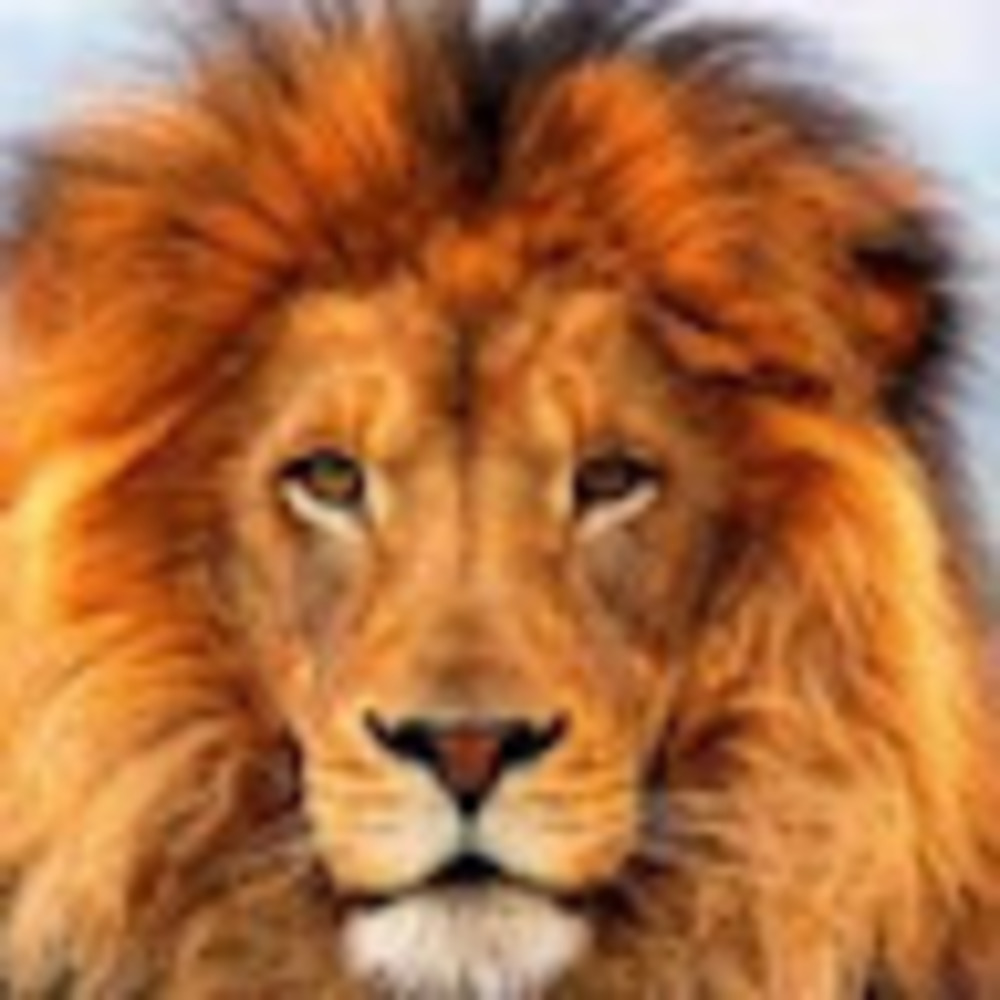 Meet your Posher, Clg